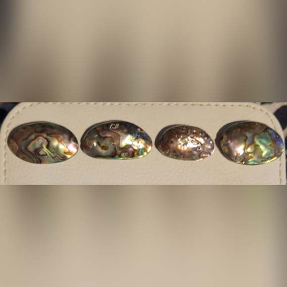 Abalone Beads, Set of 4